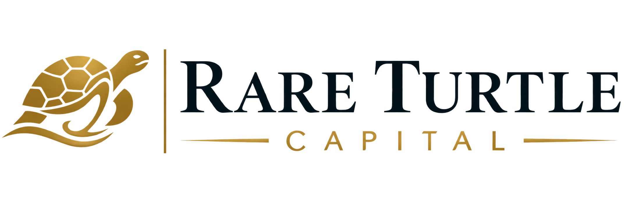 Rare Turtle Capital